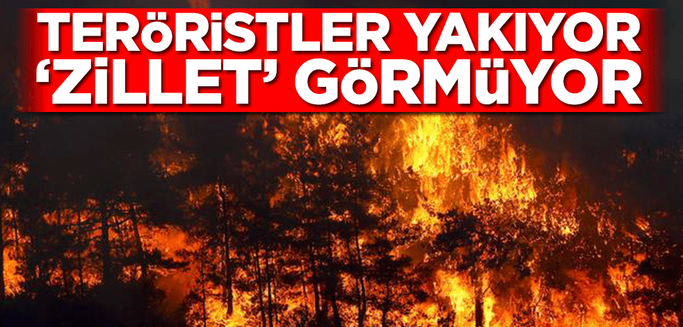 Teröristler yakıyor ‘zillet’ görmüyor