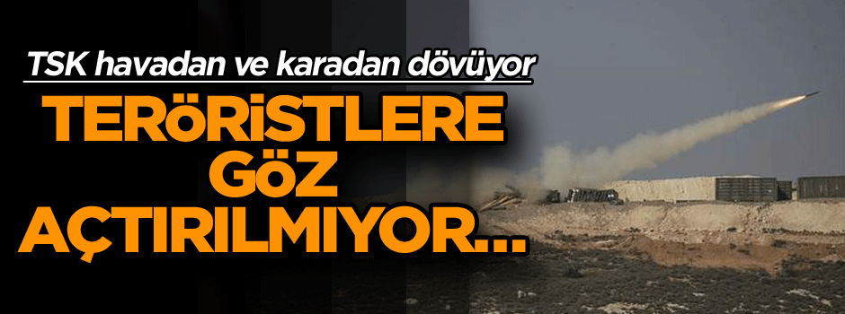 Teröristlere göz açtırılmıyor… TSK havadan ve karadan dövüyor