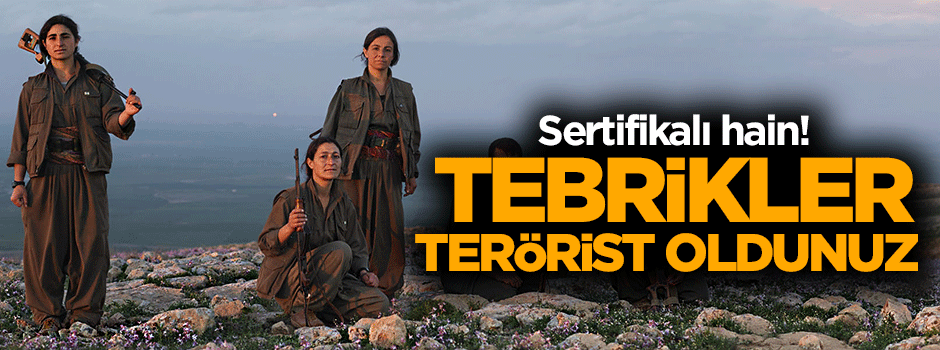Teröristlere sertifika!