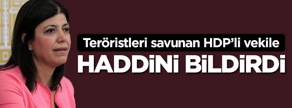 Teröristleri öven HDP'li vekile ağzının payını verdi
