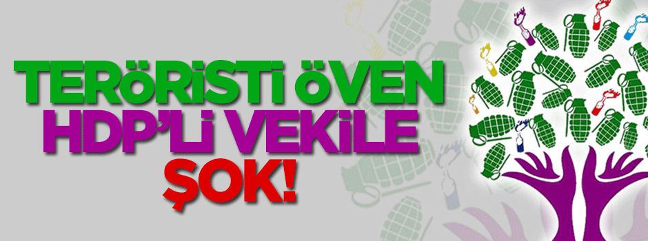 Teröristleri öven HDP'li vekile şok!