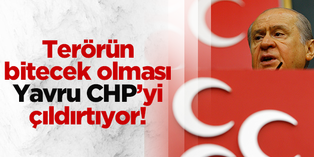 Terörü bitirmek için atılan her adım MHP'yi çıldırtıyor!