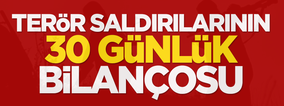 Terörün 30 günlük bilançosu