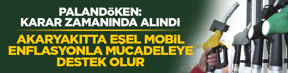 TESK Başkanı Palandöken, Karar zamanında alındı: Akaryakıtta eşel mobil enflasyonla mücadeleye destek olur