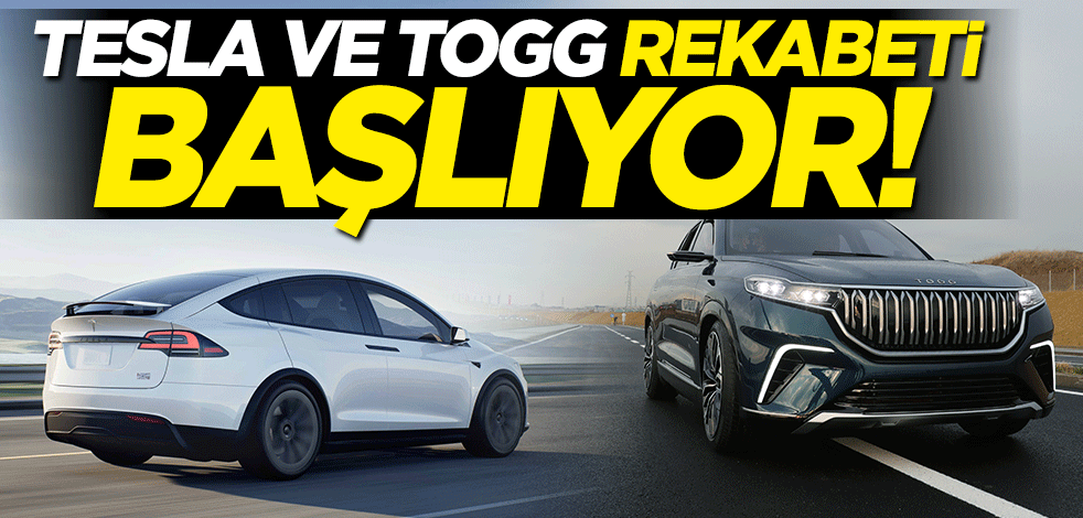 Tesla ve Togg rekabeti başlıyor