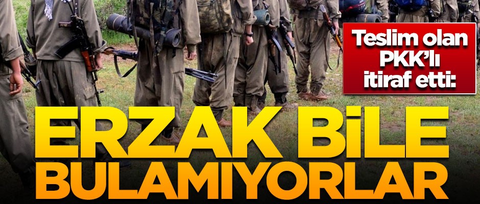 Teslim olan PKK'lı itiraf etti! "Erzak bile bulamıyorlar"
