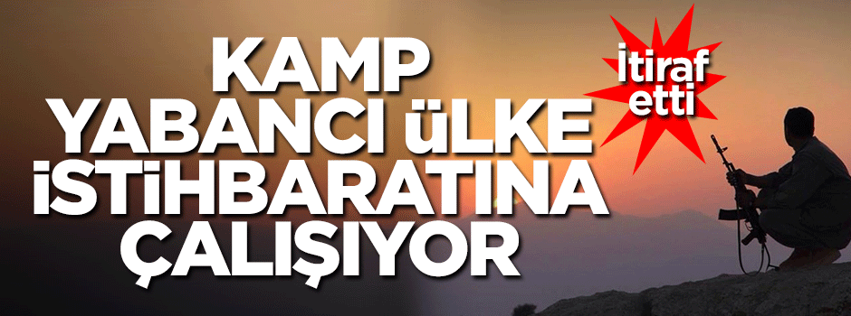 Teslim olan PKK'lı önemli itiraflarda bulundu