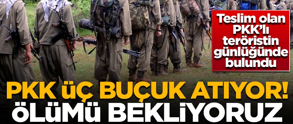 Teslim olan PKK'lı teröristin günlüğünden çıktı! "Ölümü bekliyoruz"