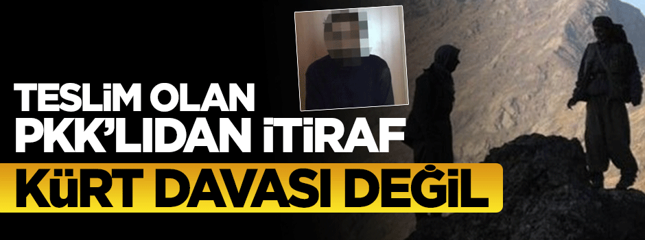 Teslim olan PKK'lıdan itiraf: Kürt davası değil