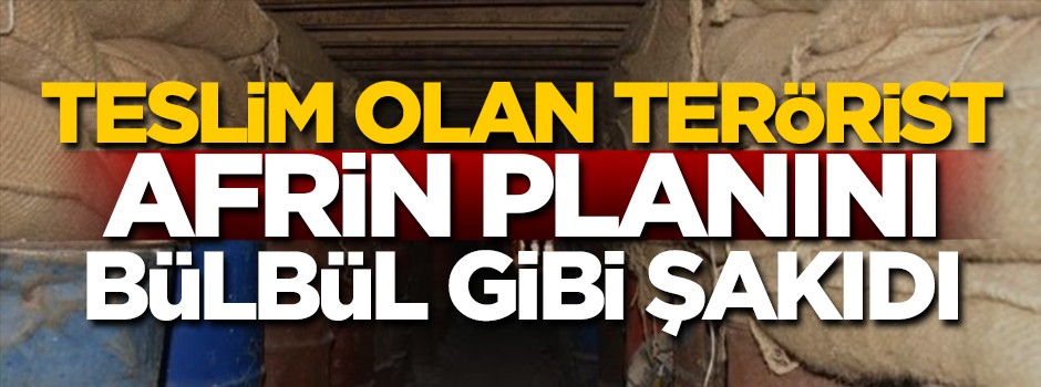 Teslim olan terörist Afrin planını bülbül gibi şakıdı