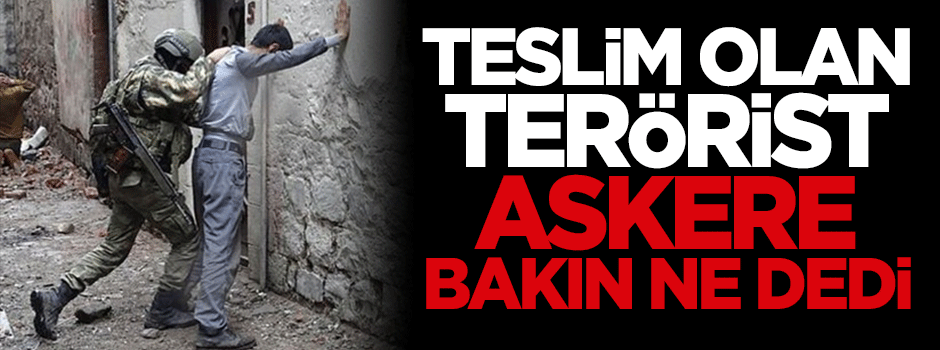 Teslim olan terörist, askere bakın ne dedi