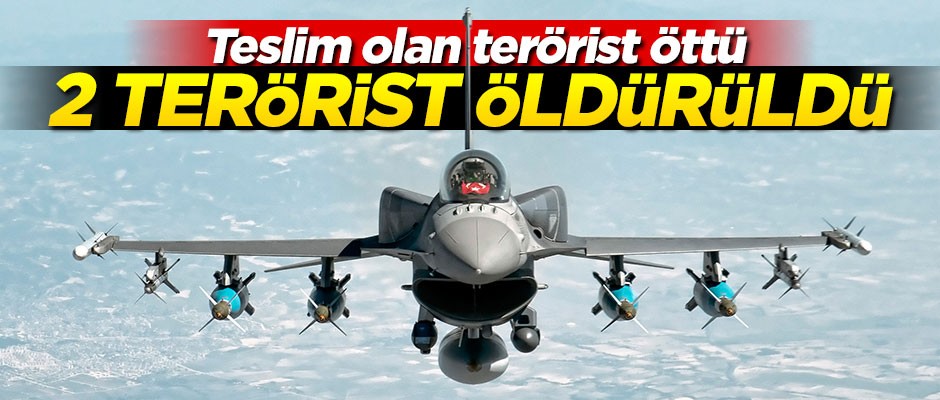 Teslim olan teröristin verdiği bilgilerle 2 terörist öldürüldü