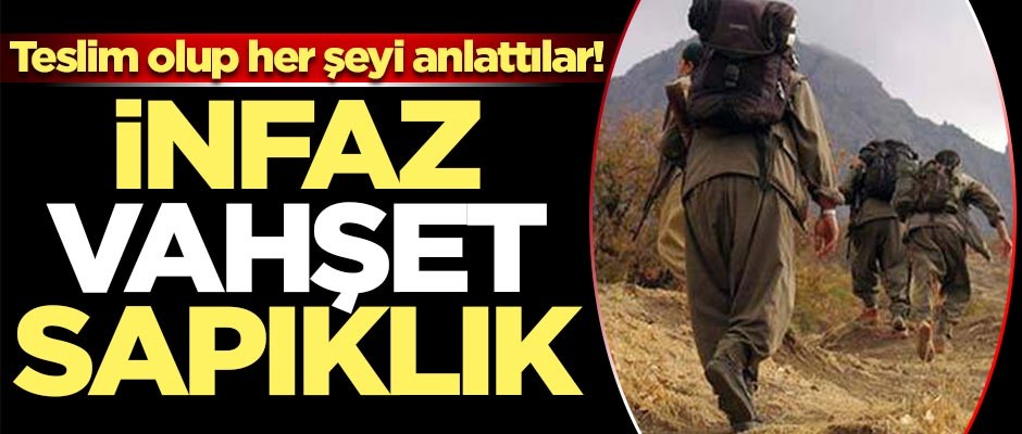 Teslim olan teröristler her şeyi anlattı!