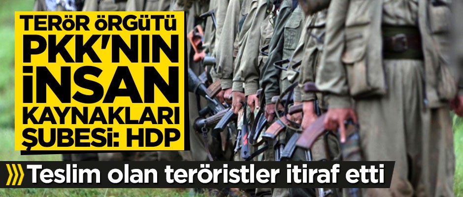 Teslim olan teröristler itiraf etti: HDP kayıt bürosu gibi çalışmış