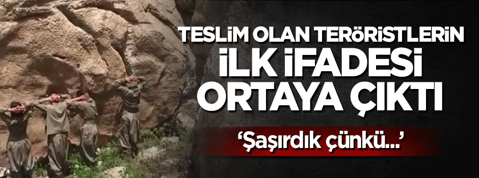 Teslim olan teröristlerin ilk ifadesi ortaya çıktı: Şaşırdık çünkü...