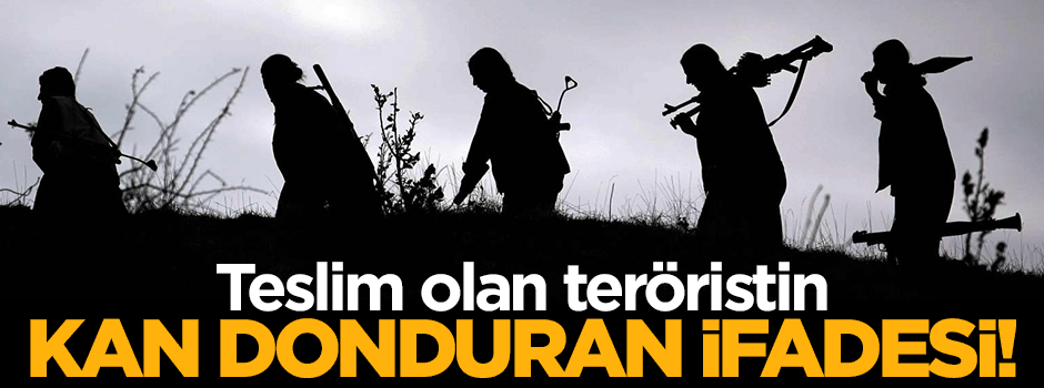 Teslim olan teröristten kan donduran ifadeler!
