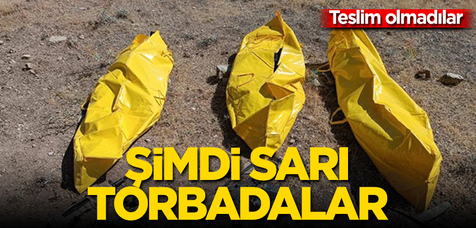Teslim olmadılar! Şimdi sarı torbadalar