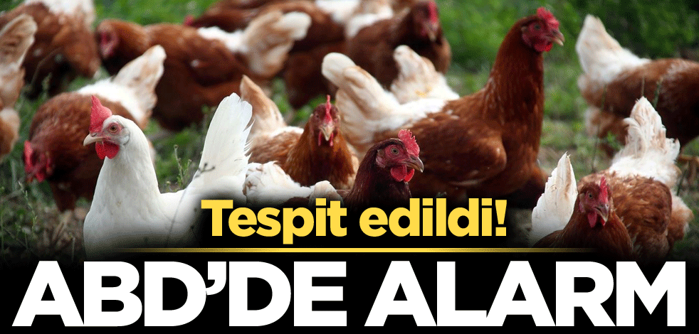 Tespit edildi! ABD'de alarm