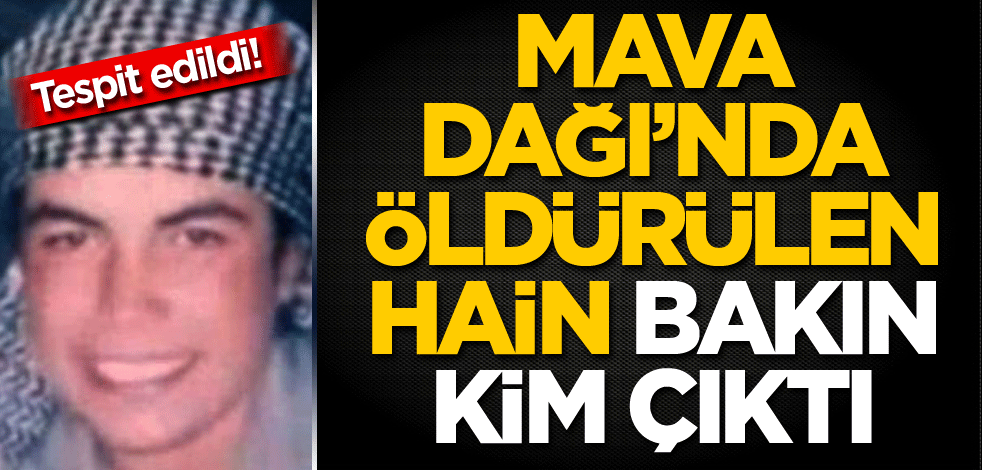 Tespit edildi! Mava Dağı'nda öldürülen hain bakın kim çıktı