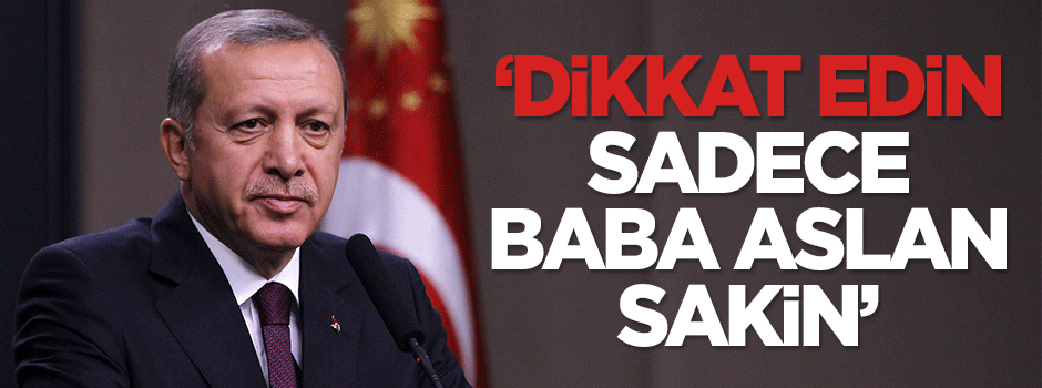 Tezcan: Dikkat edin, sadece baba aslan sakin