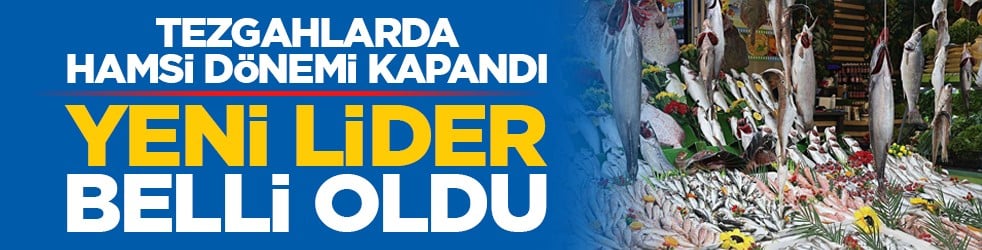 Tezgahlarda hamsi dönemi kapandı: Yeni lider belli oldu
