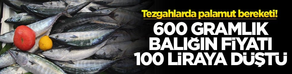 Tezgahlarda palamut bereketi! 600 gramlık balığın fiyatı 100 liraya düştü