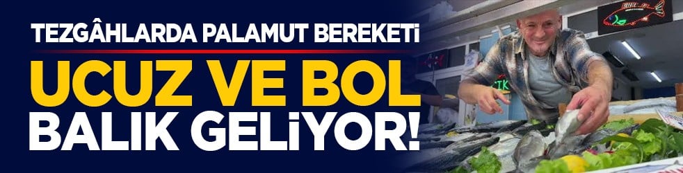 Tezgâhlarda palamut bereketi: Ucuz ve bol balık geliyor!