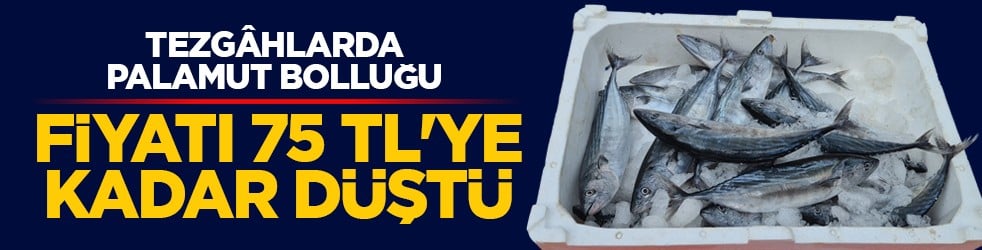 Tezgâhlarda palamut bolluğu: Fiyatı 75 TL'ye kadar düştü
