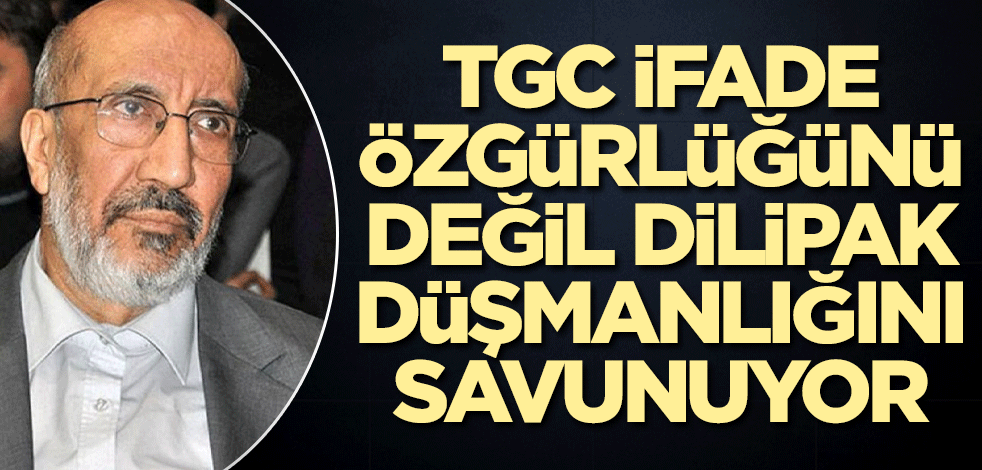 TGC ifade özgürlüğünü değil Dilipak düşmanlığını savunuyor