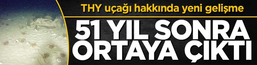 THY'nin uçağı hakkında yeni gelişme! 51 yıl sonra ortaya çıktı