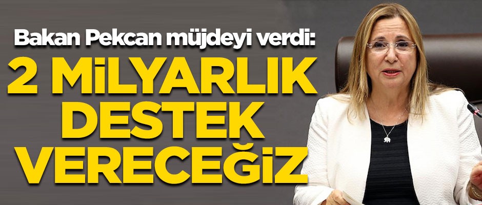 Ticaret Bakanı Pekcan müjdeyi verdi! "2 milyar liralık destek vereceğiz"