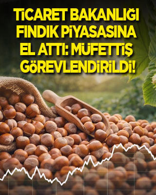 Ticaret Bakanlığı fındık piyasasına el attı: Müfettiş görevlendirildi