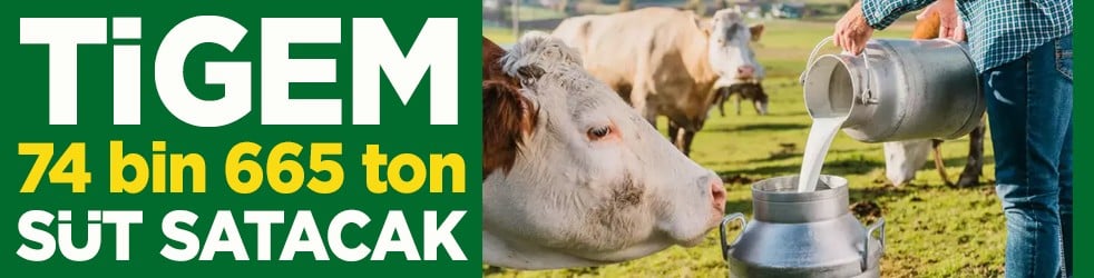 TİGEM 74 bin 665 ton inek sütü satacak