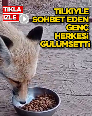 Tilkiyle sohbet eden genç herkesi gülümsetti