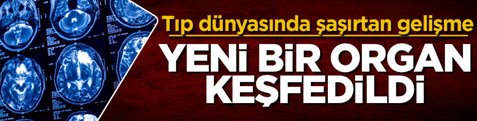 Tıp dünyasında şaşırtan gelişme: Yeni bir organ keşfedildi