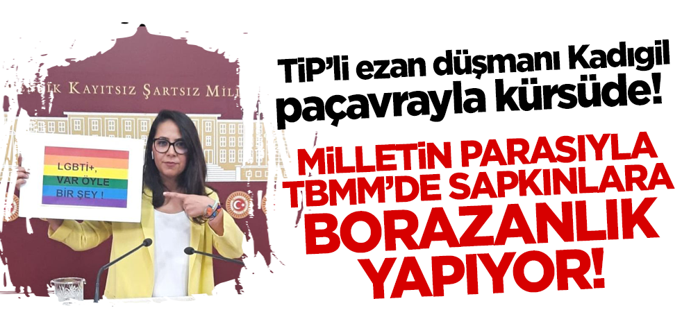 TİP'li Sera Kadıgil sapkınların borazanlığını TBMM kürsüsünde yapıyor! Elinde bu paçavra ile konuştu
