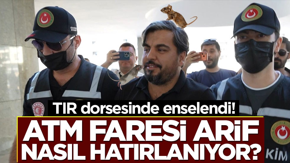TIR dorsesinde enselendi! ‘ATM Faresi Arif’ nasıl hatırlanıyor?