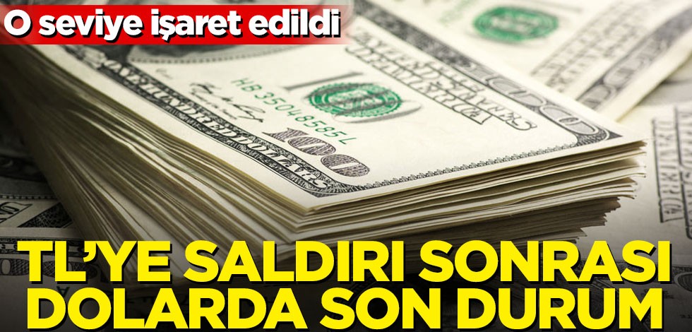 TL'ye saldırı sonrası dolarda son durum! O seviye işaret edildi