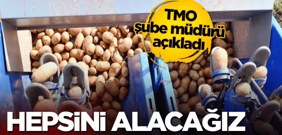 TMO şube müdürü açıkladı: Hepsini alacağız