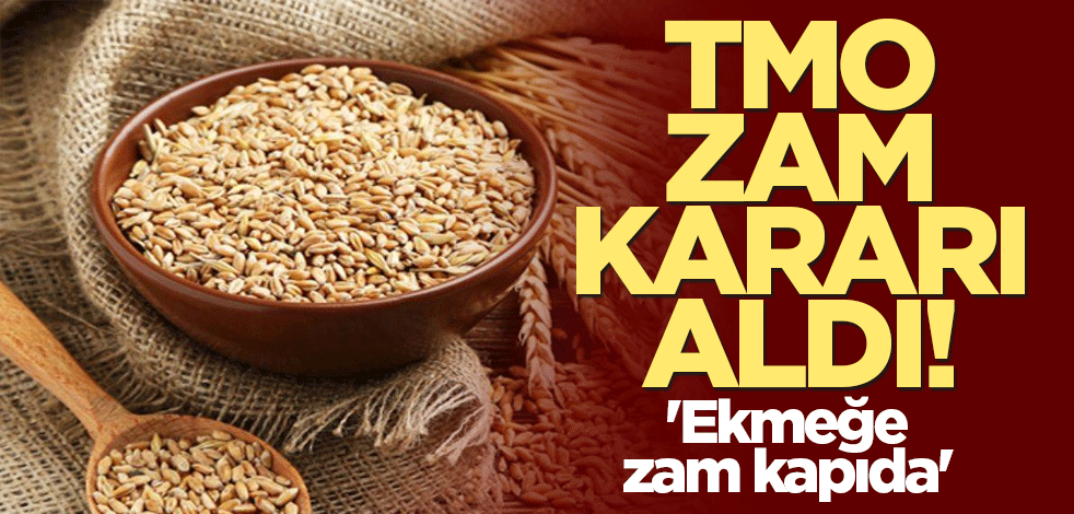 TMO zam kararı aldı! Ekmeğe zam kapıda