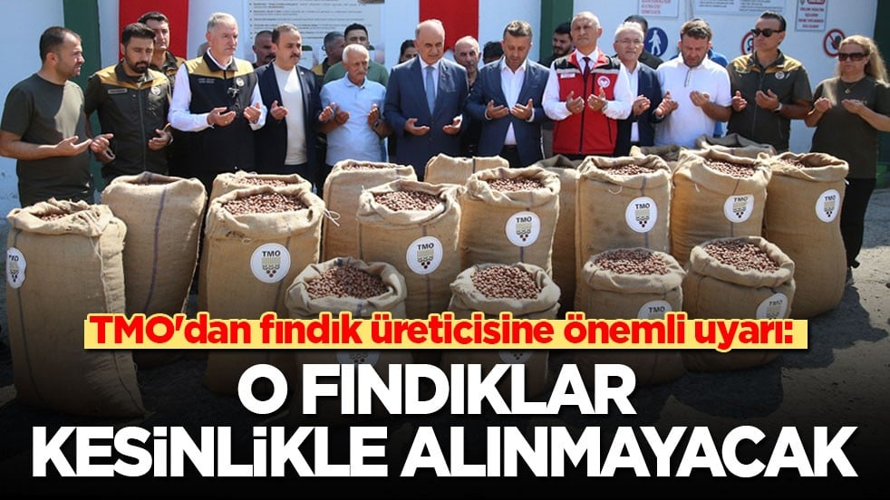TMO'dan fındık üreticisine önemli uyarı: O fındıklar kesinlikle alınmayacak