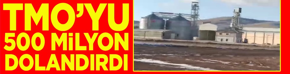 TMO'yu 500 milyon lira dolandırdı