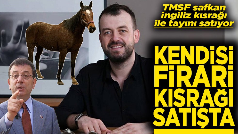 TMSF safkan İngiliz kısrağı ile tayını satıyor Kendisi firari kısrağı satışta