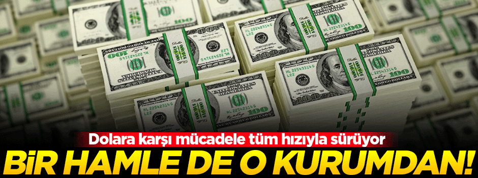 TMSF'den 'Türk Lirası' hamlesi