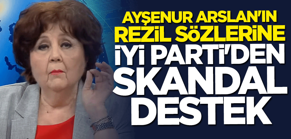TMT'ye dil uzatan Ayşenur Arslan'a İYİ Parti'den skandal destek