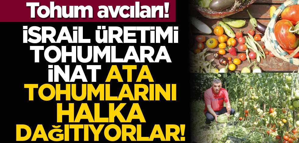 Tohum avcıları! İsrail üretimi tohumlara inat ata tohumlarını halka dağıtıyorlar!