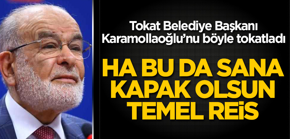 Tokat Belediye Başkanı, Karamollaoğlu'nu böyle tokatladı! Ha bu da sana kapak olsun Temel Reis