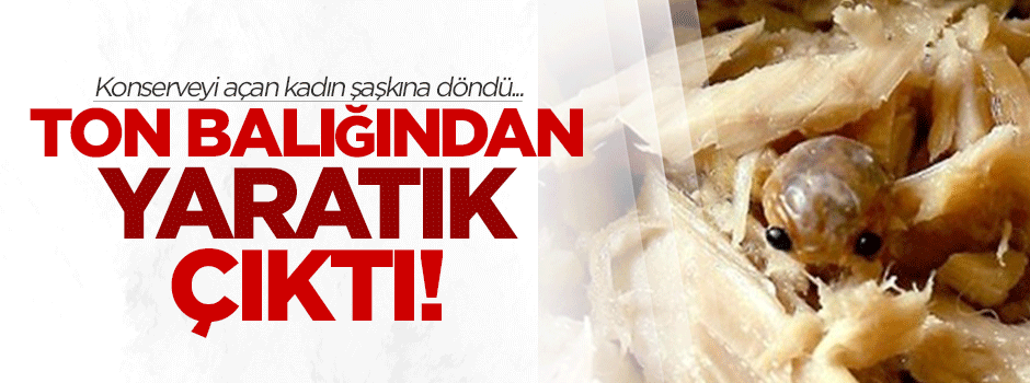 Ton balığı konservesinden yaratık çıktı!