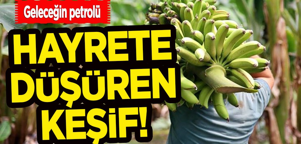 Tonlarca muz kabuğundan çıkarıldı! Geleceğin petrolü için hayrete düşüren çalışma! Brent petrol tarih mi olacak?