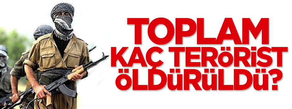 Toplam kaç terörist öldürüldü?